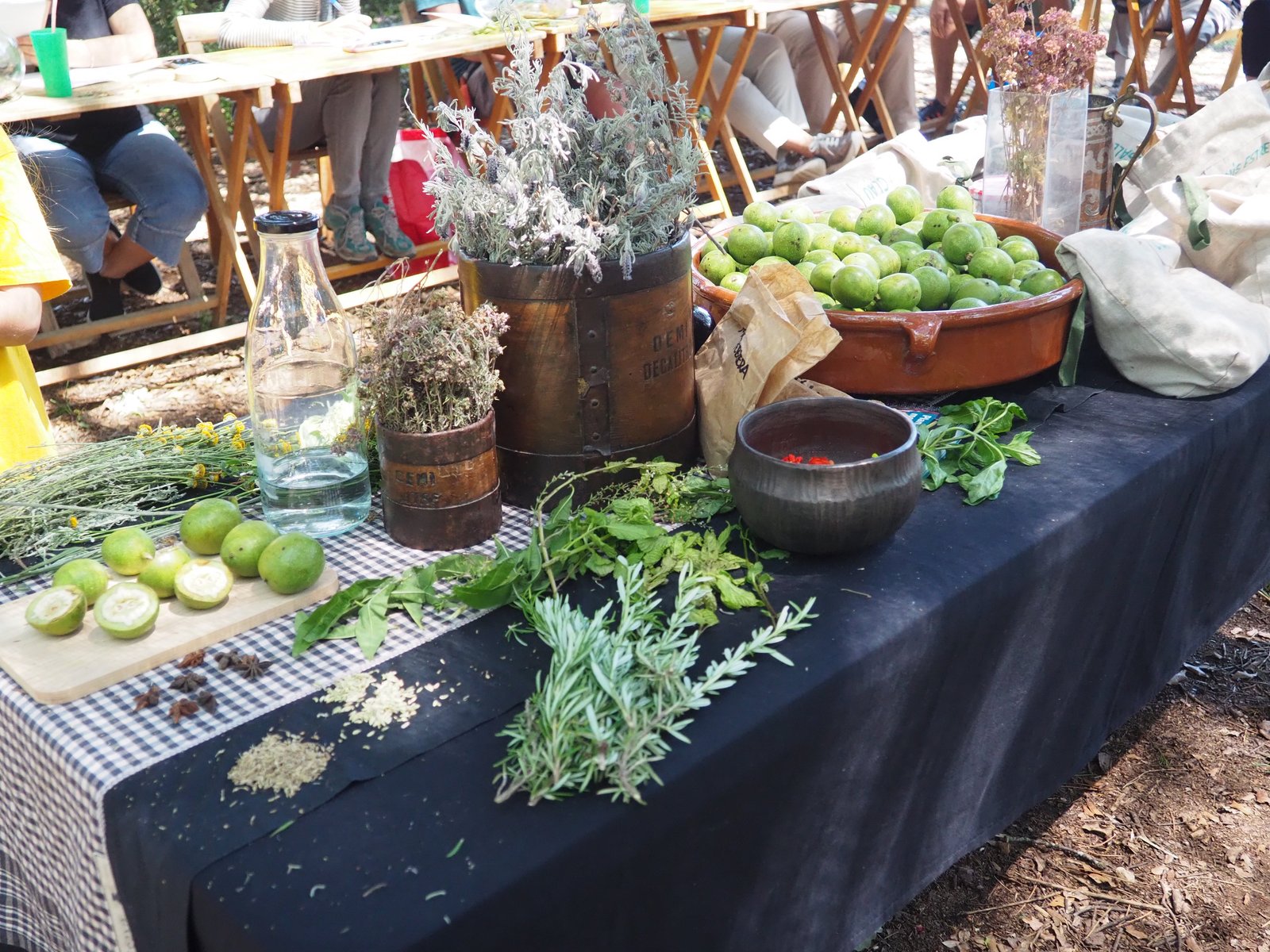 Herbes, nous verdes i ingredients per elaborar ratafia