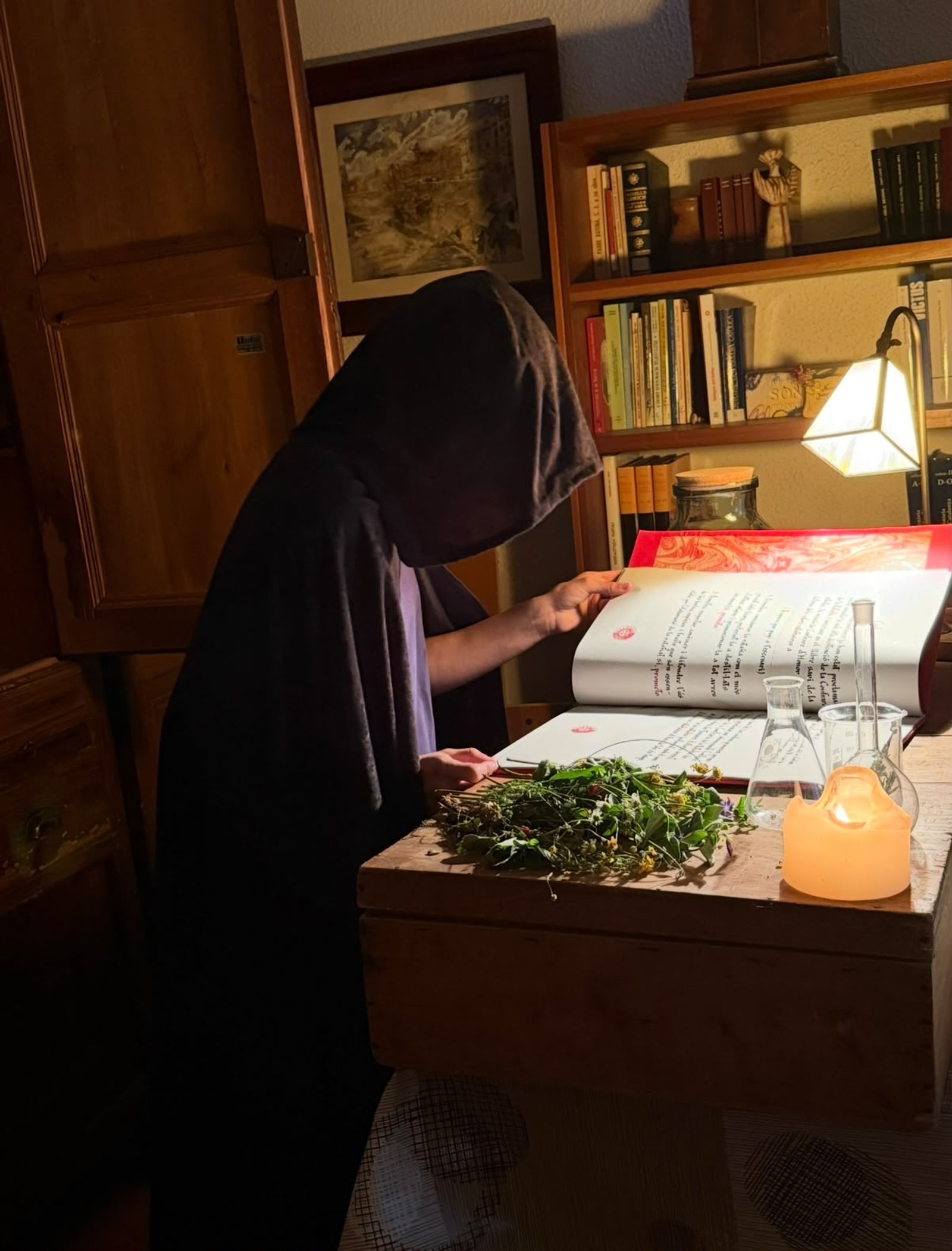 Les plantes i la ratafia com a punt de partida del projecte